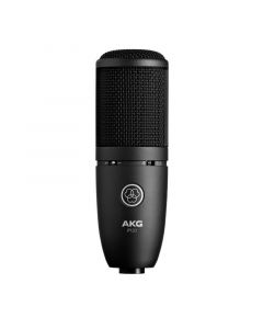 akg-p120